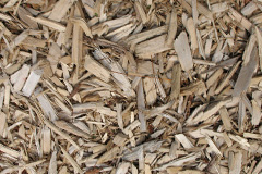 biomass boilers Sydmonton